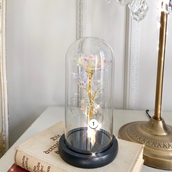 Enchanted Galaxy Rose - Picture 8 of 8